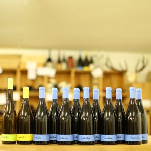 Weingut Gantenbein Pinot Noir, Chardonnay, Riesling Diverse 2019 - Shop at wineloft.ch, Best Wines, best prices.
