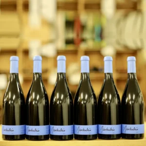 Weingut Gantenbein Pinot noir Paket 2021 - 6 Flaschen